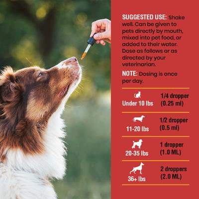 Show full view: Special Breed Urinary Tract Cranberry Flavored Supplement for Dogs & Cats, 2-fl oz bottle slide 7 of 8