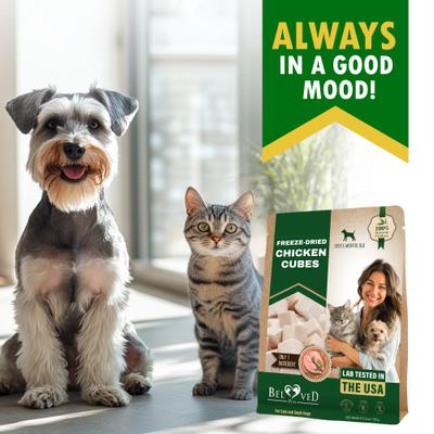Show full view: Beloved Pets Freeze-Dried Chicken Cubes Dog & Cat Treats, 5.3-oz bag slide 7 of 10
