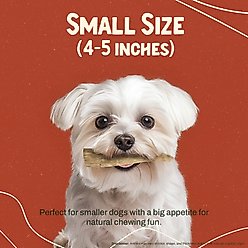 Heartland Antlers Elk Antler Dog Chew, Small: 5 to 25-lbs, 2 count slide 2 of 7