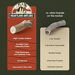Heartland Antlers Elk Antler Dog Chew, X-Large: 65 to 85-lbs slide 2 of 7