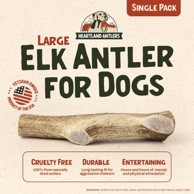 Show full view: Heartland Antlers Elk Antler Dog Chew, Large: 45 to 65-lbs slide 3 of 8