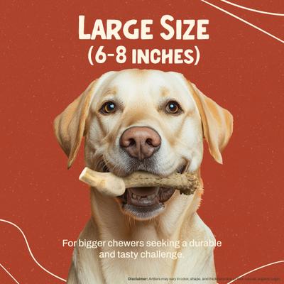 Show full view: Heartland Antlers Deer Antler Dog Chew, Large: 45 to 65-lbs slide 4 of 8