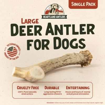 Show full view: Heartland Antlers Deer Antler Dog Chew, Large: 45 to 65-lbs slide 3 of 8