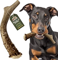 Heartland Antlers Deer Antler Dog Chew, X-Large: 65 to 85-lbs