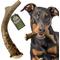 Show in main carousel: Heartland Antlers Deer Antler Dog Chew, X-Large: 65 to 85-lbs slide 1 of 8