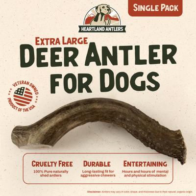 Show full view: Heartland Antlers Deer Antler Dog Chew, X-Large: 65 to 85-lbs slide 3 of 8
