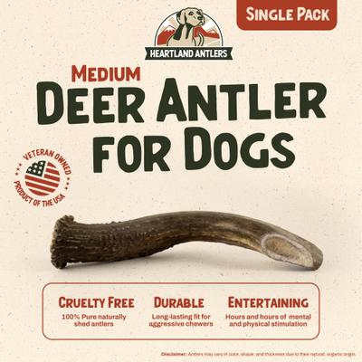 Show full view: Heartland Antlers Deer Antler Dog Chew, Medium: 25 to 45-lbs slide 3 of 8