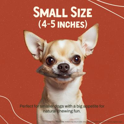 Show full view: Heartland Antlers Deer Antler Dog Chew, Small: 5 to 25-lbs, 2 count slide 4 of 9