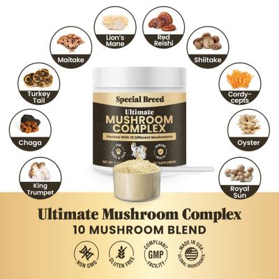 Show full view: Special Breed Ultimate Mushroom Complex Powder Immune Supplement for Dogs & Cats, 90-gm jar slide 4 of 8