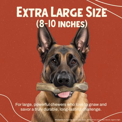 Show full view: Heartland Antlers Elk Antler Dog Chew, X-Large: 65 to 85-lbs slide 4 of 8