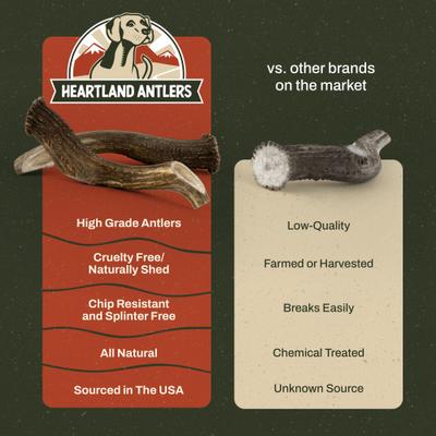 Show full view: Heartland Antlers Deer Antler Dog Chew, Large: 45 to 65-lbs slide 7 of 8