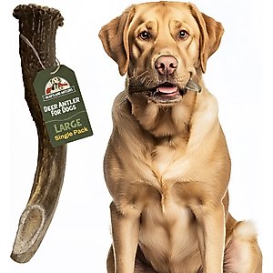 Heartland Antlers Deer Antler Dog Chew, Large: 45 to 65-lbs
