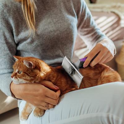 Show full view: Fido Fave Dual Edge Design Deshedding Dog & Cat Brush, Medium slide 5 of 8