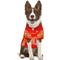 Show in main carousel: Pets First NFL Zubaz Dog Jersey, Kansas City Chiefs, X-Large slide 5 of 5