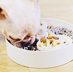 PuzzleFeeder Dog Slow Feeder Insert, Large, Grey slide 2 of 3