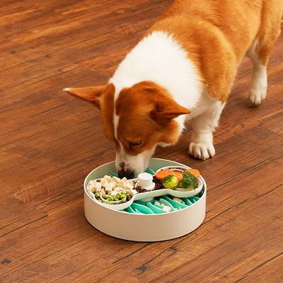 Show full view: PuzzleFeeder Slow Feeder Puzzle Dog Toy, Large, Green slide 2 of 10