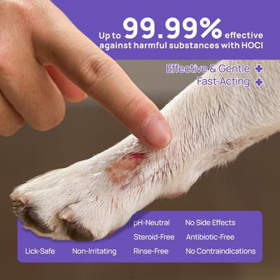 Show full view: HICC PET Antimicrobial Pet Hydro Gel Wound Care for Dogs, 3.4-fl oz bottle slide 4 of 11
