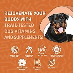 waggedy Hip & Joint Turmeric Flavored Chew Supplement for Dogs, 120 count slide 2 of 8