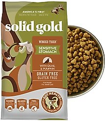 Solid Gold Sensitive Stomach Quail & Pumpkin Grain-Free Dry Cat Food, 6-lb bag