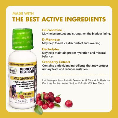 Show full view: Liquid-Vet Kidney & Bladder Support Max Cranberry Chicken Flavor Dog Supplement, 8-oz bottle, 2 count slide 5 of 12