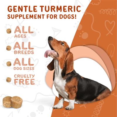 Show full view: waggedy Hip & Joint Turmeric Flavored Chew Supplement for Dogs, 120 count slide 6 of 9