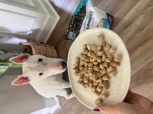 Show full view: Sprankles Beef Recipe Freeze-Dried Raw Dog Food & Topper, 4-oz bag slide 6 of 9