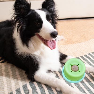 Show full view: PuzzleFeeder Interactive Puzzle Dog Toy, Blue, All Breed Sizes slide 5 of 6