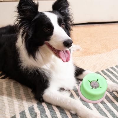 Show full view: PuzzleFeeder Interactive Puzzle Dog Toy, Pink, All Breed Sizes slide 5 of 6