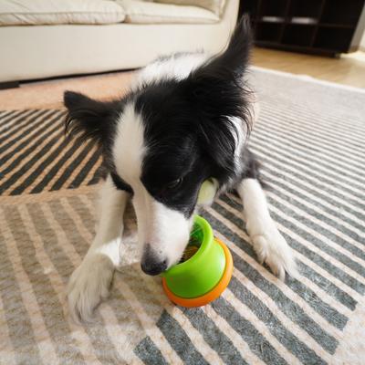 Show full view: PuzzleFeeder Interactive Puzzle Dog Toy, Green, Medium slide 5 of 8