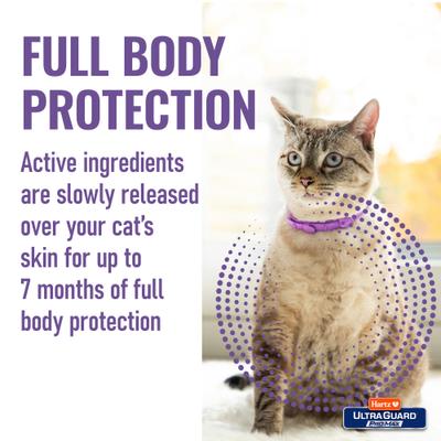 Show full view: Hartz UltraGuard ProMax Flea & Tick Cat Collar, Purple, 2 count slide 5 of 10