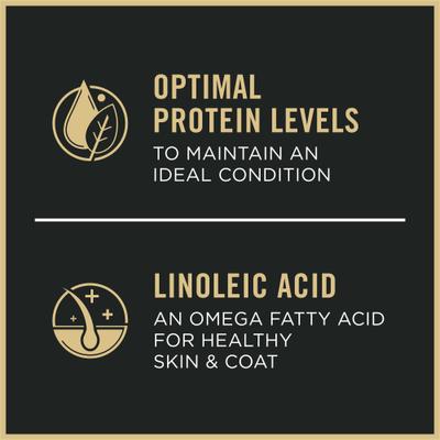 Show full view: Purina Pro Plan Sensitive Stomach & Skin Senior Salmon & Rice Entrée Classic Wet Dog Food, 13-oz can, case of 12 slide 10 of 11