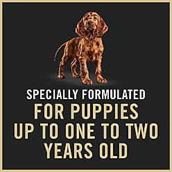 Purina Pro Plan Sensitive Stomach & Skin Puppy Salmon & Rice Entrée Classic Wet Dog Food, 13-oz can, case of 12 slide 2 of 9