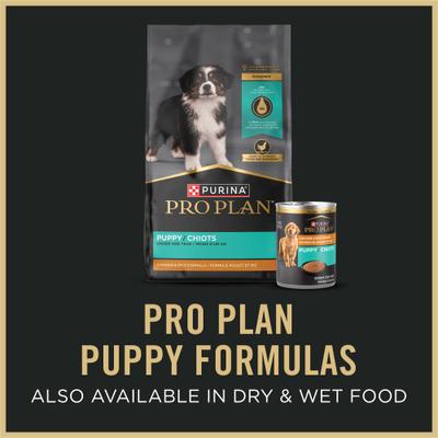 Show full view: Purina Pro Plan Puppy Mousse Starter Chicken Entree Wet Dog Food, 5.5-oz box, case of 24 slide 9 of 11