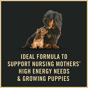 Purina Pro Plan Puppy Mousse Starter Chicken Entree Wet Dog Food, 5.5-oz box, case of 24