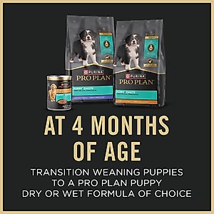 Purina Pro Plan Puppy Mousse Starter Chicken Entree Wet Dog Food, 5.5-oz box, case of 24