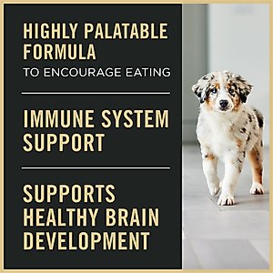 Purina Pro Plan Puppy Mousse Starter Chicken Entree Wet Dog Food, 5.5-oz box, case of 24