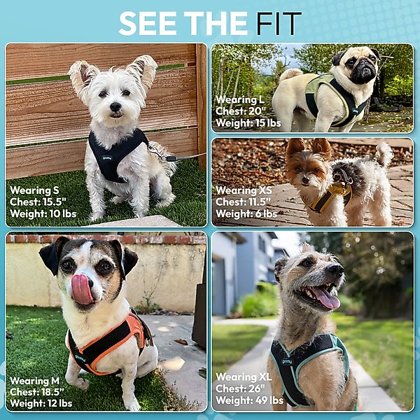 Gooby Escape Free Easy Fit X Dog Harness