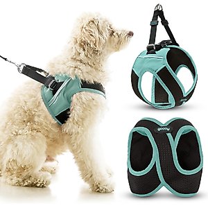 Lucy & Co. The Simply Splendid No-Pull Dog Harness, Blue