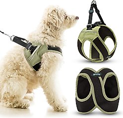 Gooby Escape Free Easy Fit X Dog Harness, Portland Green, Medium: 16 to 19.75-in chest