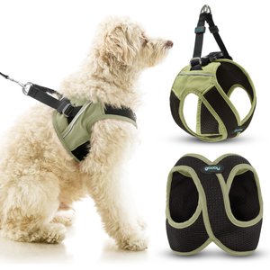 Gooby Escape Free Easy Fit X Dog Harness, Portland Green, Medium: 16 to 19.75-in chest