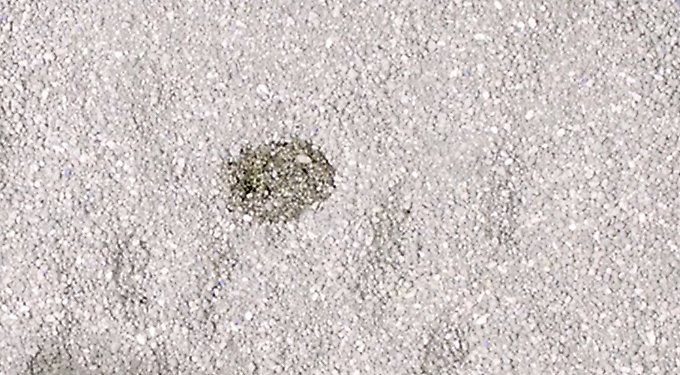 Fresh Step Extreme Mountain Spring Febreze Scented Clumping Clay Cat Litter