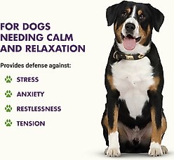 Liquid-Vet Calm & Content Support Pot Roast Flavor Liquid Calming Supplement for Dogs, 32-fl oz bottle slide 2 of 8