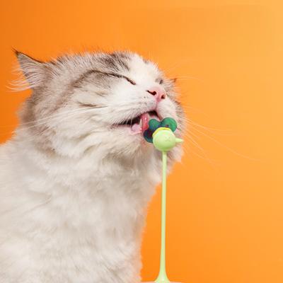 Show full view: Happy & Polly Interactive Insect Cat Spinner Toy, Green slide 2 of 3