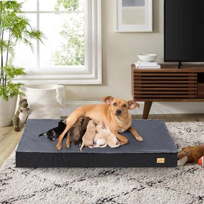 Show full view: BingoPaw Pillow Dog Bed with Removable Cover, Black, XX-Large slide 4 of 9