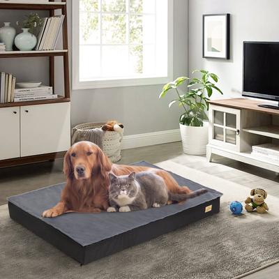 Show full view: BingoPaw Pillow Dog Bed with Removable Cover, Black, XX-Large slide 2 of 9