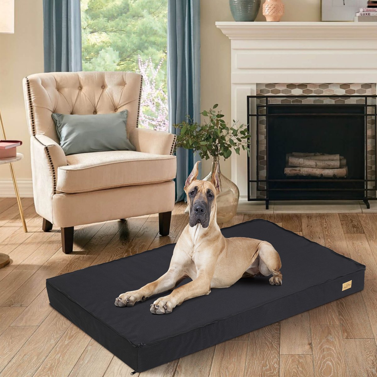 BingoPaw Pillow Dog Bed with Removable Cover, Black, XX-Large