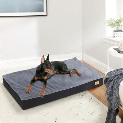 Show full view: BingoPaw Pillow Dog Bed with Removable Cover, Black, X-Large slide 9 of 10