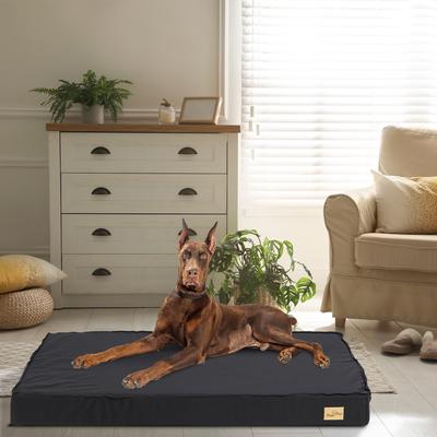 Show full view: BingoPaw Pillow Dog Bed with Removable Cover, Black, XX-Large slide 5 of 9