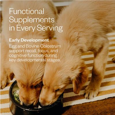 Show full view: MAEV Puppy Human-Grade Raw Frozen Chicken Dog Food, 5-lb bag slide 6 of 11