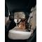 Show in main carousel: Thule Cappy Dog Car Harness, Large: 24.5 to 34.5-in chest slide 8 of 10